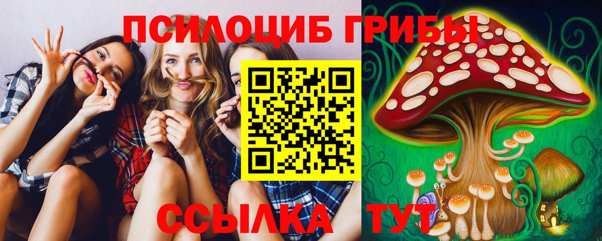 Раменское  Галлюциногенные грибы GOLDEN TEACHER  купить наркотик  Вход с VPN 