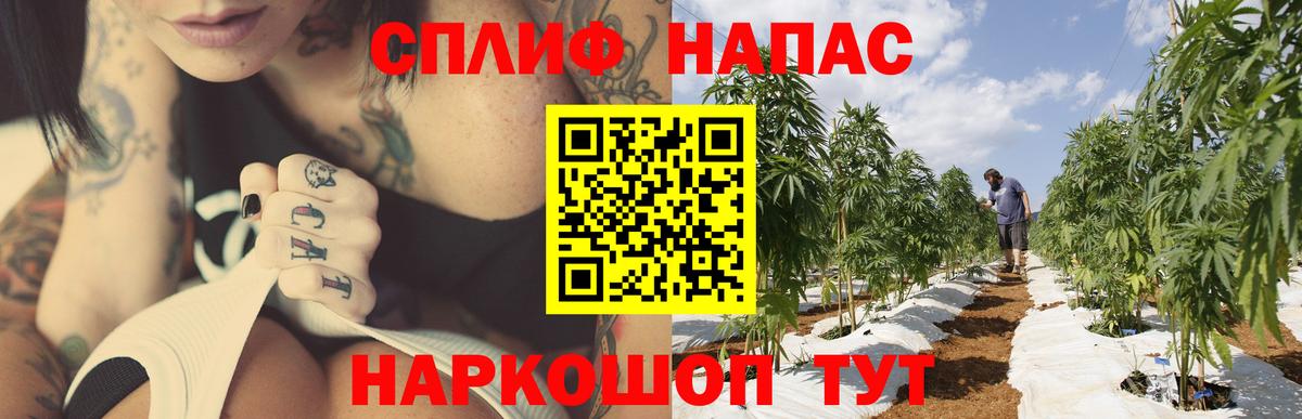 Конопля Amnesia Раменское